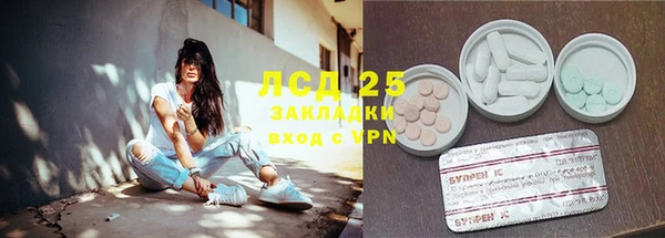 прущие крисы Кулебаки