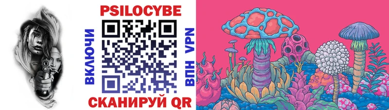 Псилоцибиновые грибы мицелий  Купить где  Вышний Волочёк 