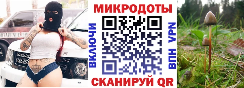 Псилоцибиновые грибы мицелий Вышний Волочёк