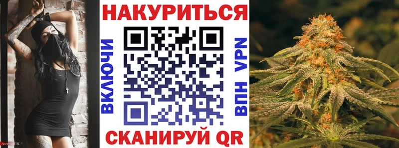 Купить закладки  Вышний Волочёк  Шишки марихуана сатива 